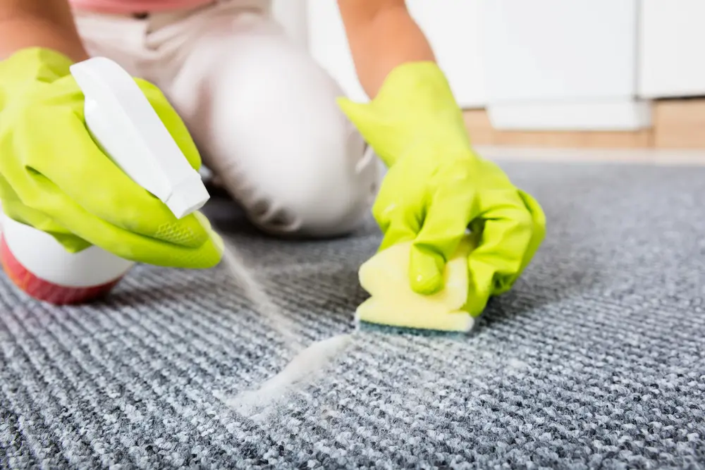 روش های پاک کردن لکه روغن و چربی از روی فرش