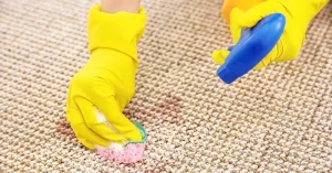 Read more about the article نحوه پاک کردن لکه روغن و چربی از روی فرش
