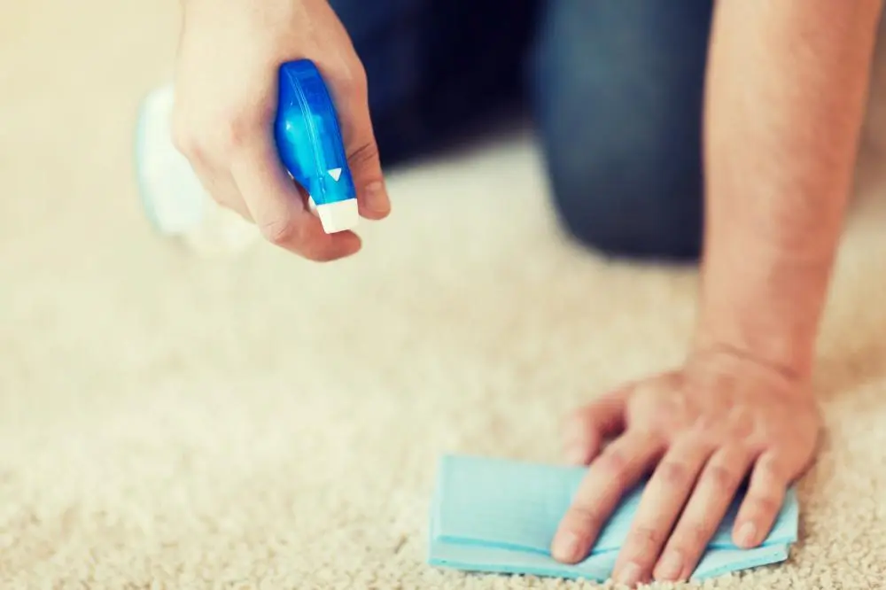 نکات مهم هنگام پاک کردن لکه اسلایم از روی فرش