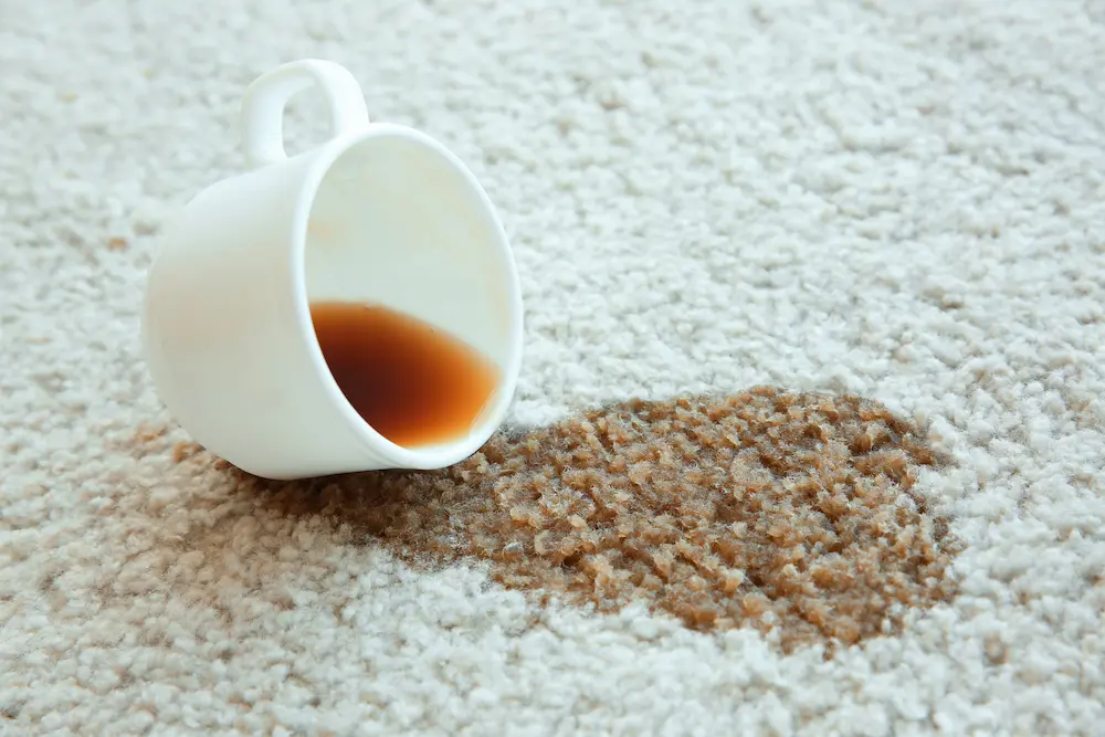 اهمیت پاک کردن لکه قهوه از روی فرش