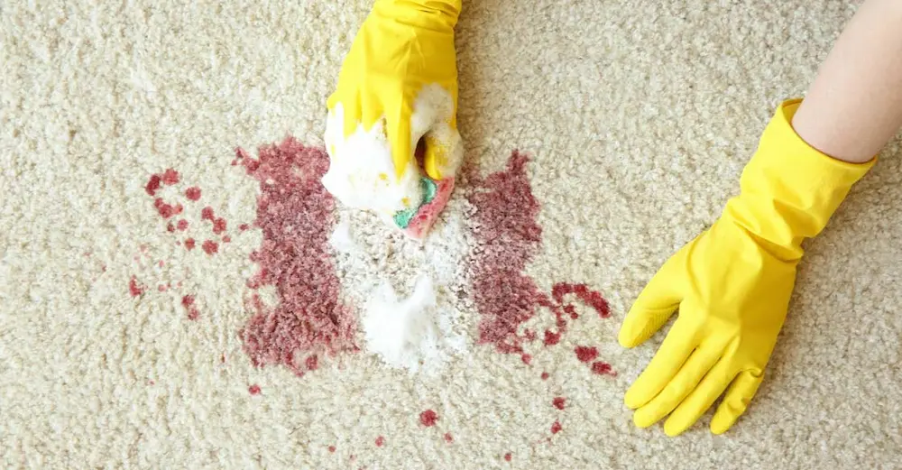 نکات مهم برای پاک کردن لکه خون از روی فرش