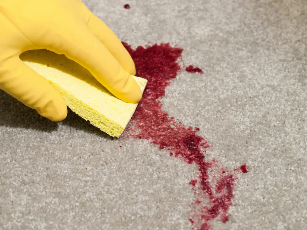 You are currently viewing پاک کردن لکه خون از روی فرش با راهکارهای موثر و ساده